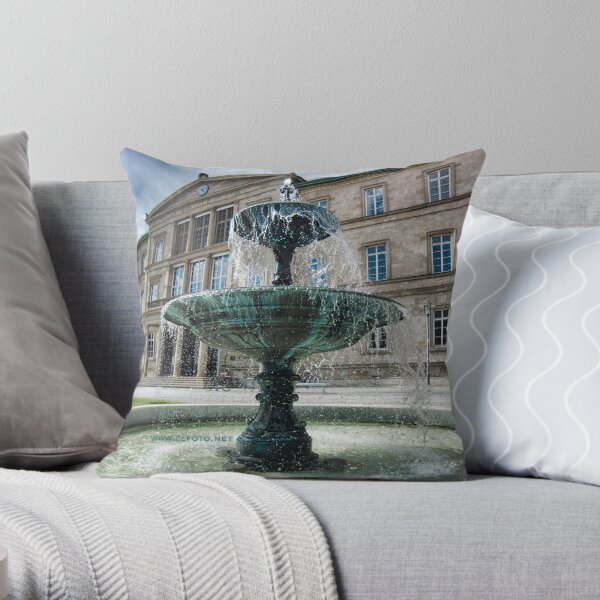 Neue Aula Fountain, Tübingen, Germany Throw Pillow