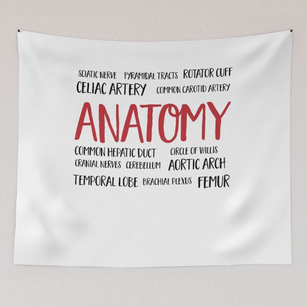 Item preview, Anatomy cloud designed and sold by Vectorqueen.