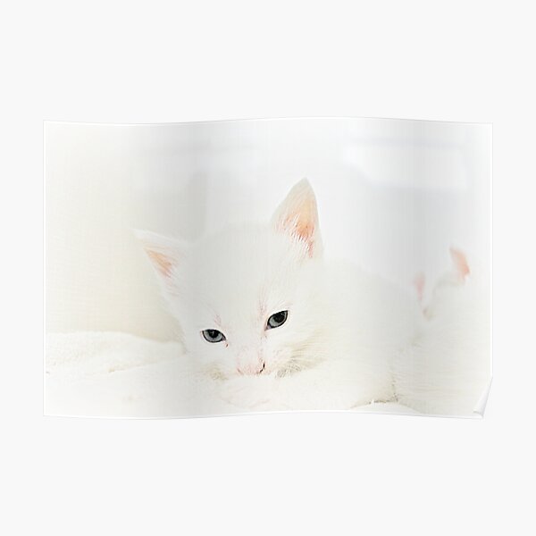Snuffles Poster