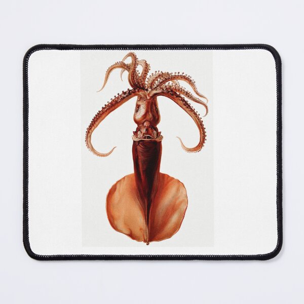 Item preview, Squid illustration by Albert I, Prince of Monaco (1842-1922) designed and sold by Spookyuk.