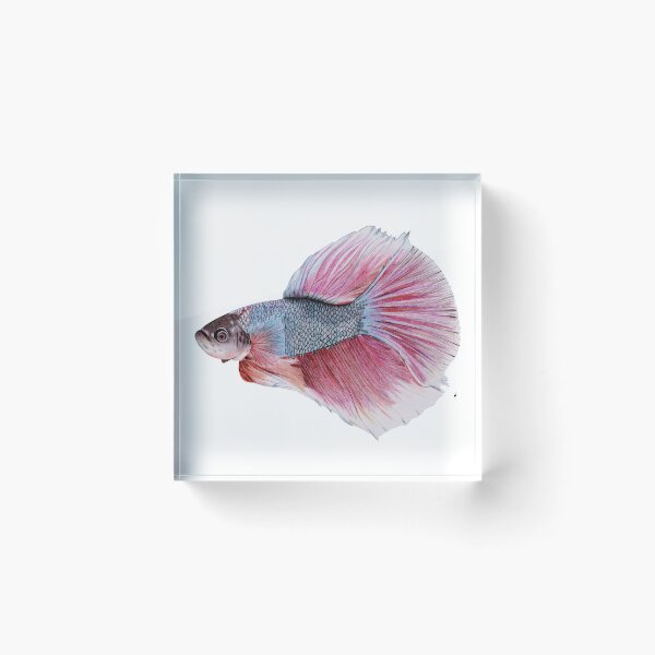 Item preview, Bettafish designed and sold by Kalli-Horn.