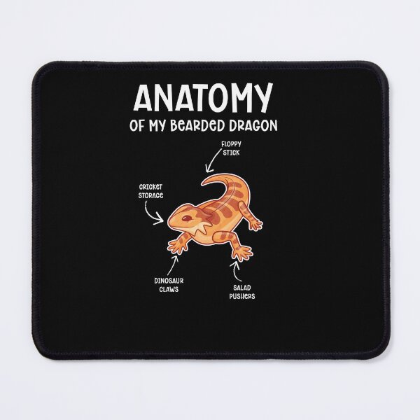 Item preview, Anatomy of my bearded dragon designed and sold by CreationFirm.