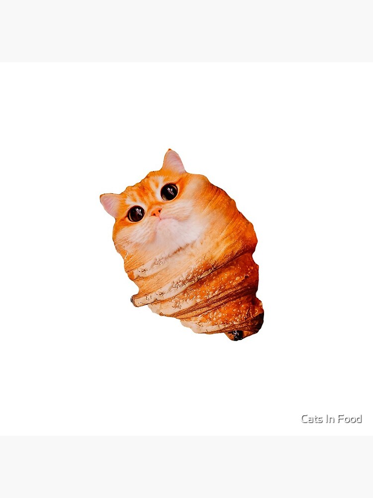 Pin on FOOD CAT