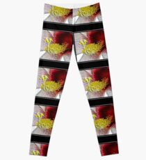Pollen Leggings