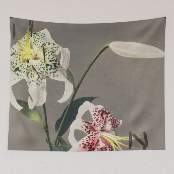 Item preview, Retro Japanese Flower Lily (1896) by Kazumasa Ogawa designed and sold by Designedbysm.