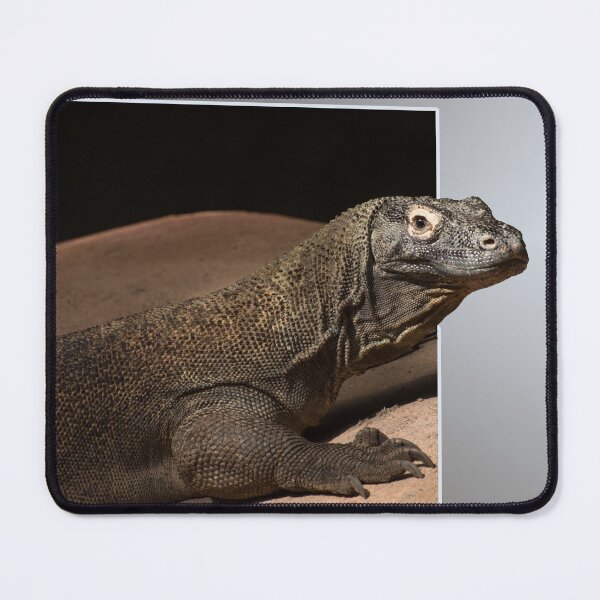 Item preview, Komodo Island monitor dragon designed and sold by Zina Stromberg.