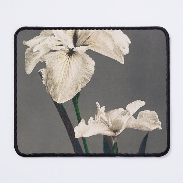 Item preview, Retro Japanese Flower Iris (1896) by Kazumasa Ogawa designed and sold by Designedbysm.