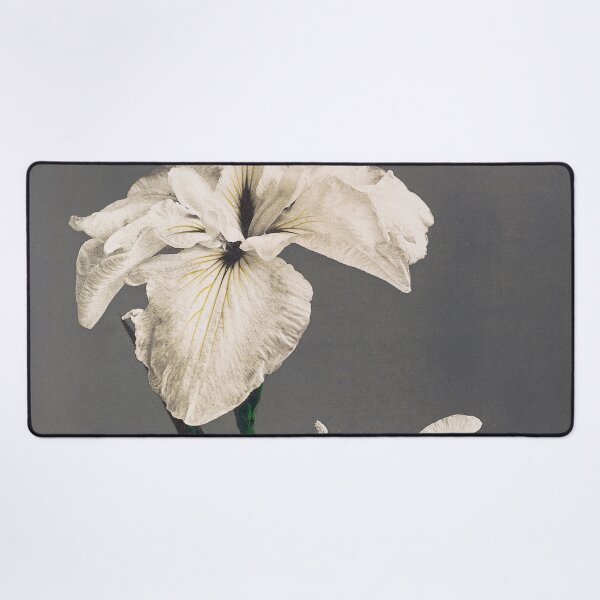 Item preview, Retro Japanese Flower Iris (1896) by Kazumasa Ogawa designed and sold by Designedbysm.