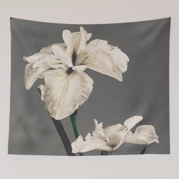 Item preview, Retro Japanese Flower Iris (1896) by Kazumasa Ogawa designed and sold by Designedbysm.