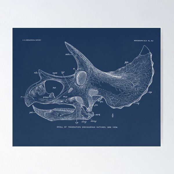 Item preview, Triceratops Skull Blueprint designed and sold by JABG-01.