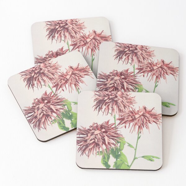 Item preview, Retro Japanese Flower Three Pink Chrysanthemums (1896) by Ogawa Kazumasa designed and sold by Designedbysm.