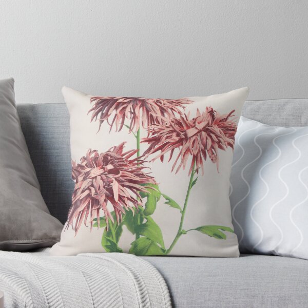 Item preview, Retro Japanese Flower Three Pink Chrysanthemums (1896) by Ogawa Kazumasa designed and sold by Designedbysm.