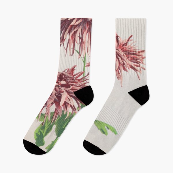 Item preview, Retro Japanese Flower Three Pink Chrysanthemums (1896) by Ogawa Kazumasa designed and sold by Designedbysm.