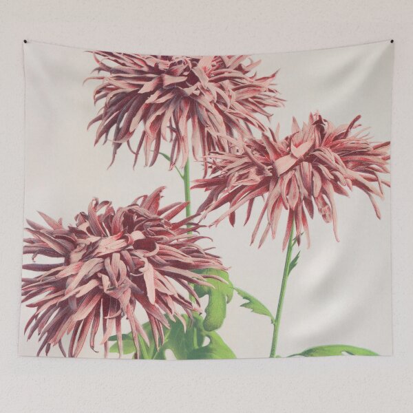 Item preview, Retro Japanese Flower Three Pink Chrysanthemums (1896) by Ogawa Kazumasa designed and sold by Designedbysm.