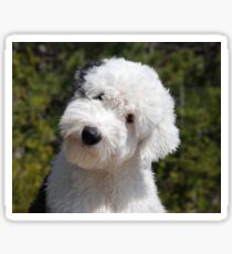 old english sheepdog puppy Sticker