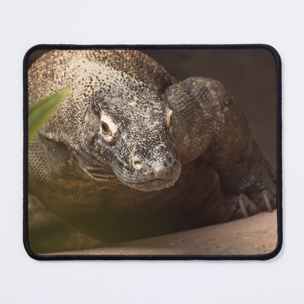 Item preview, Komodo Island monitor dragon walking designed and sold by Zina Stromberg.