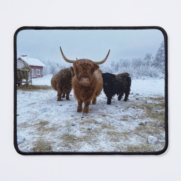 Item preview, Scottish Highland Cattle Cow and Calf in snow 2700 designed and sold by SaarelaHighland.