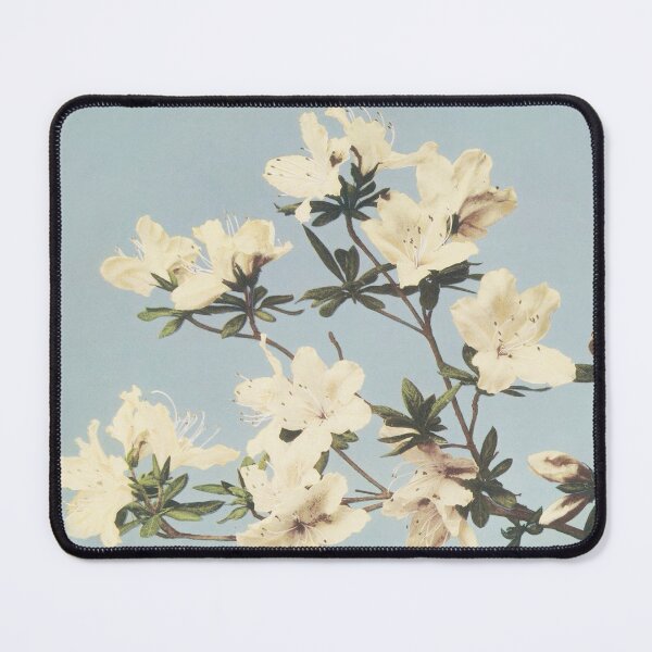 Item preview, Retro Japanese Flower Orchid (1896) by Ogawa Kazumasa designed and sold by Designedbysm.