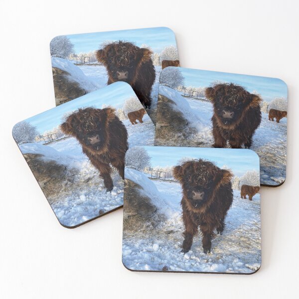 Item preview, Scottish Highland Cattle Calf in snow 2702 designed and sold by SaarelaHighland.