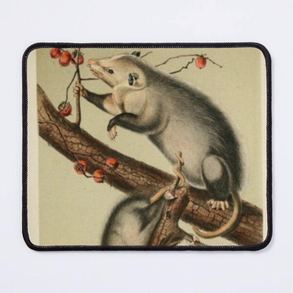Item preview, Naturalist Opossum designed and sold by BlueSpecsStudio.