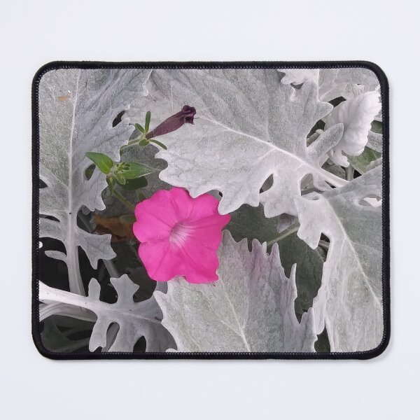 Item preview, ROSA HELADO designed and sold by Yolitha Lanay Carter.