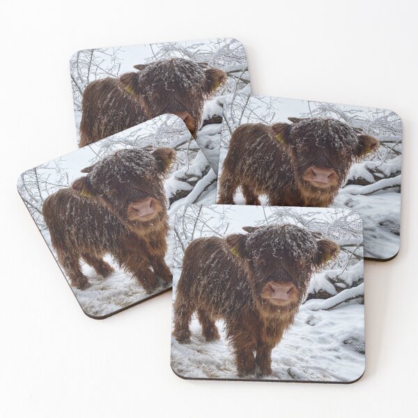 Artikelvorschau, Scottish Highland Cattle Calf in snow 2706 entworfen und verkauft von SaarelaHighland.