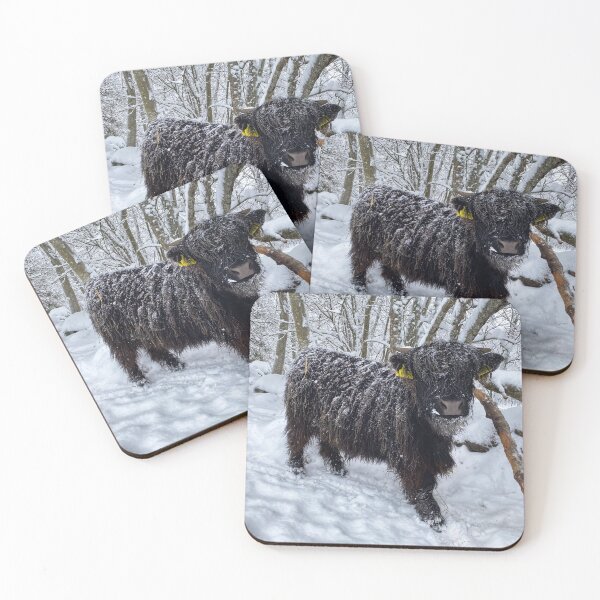 Item preview, Scottish Highland Cattle Calf in snow 2708 designed and sold by SaarelaHighland.