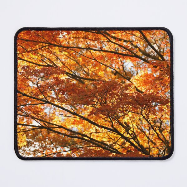 Item preview, Maple tree foliage in Autumn designed and sold by Gaspar Avila.