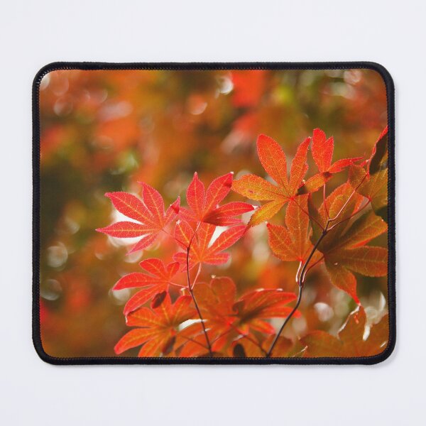 Item preview, Acer leaves designed and sold by Gaspar Avila.