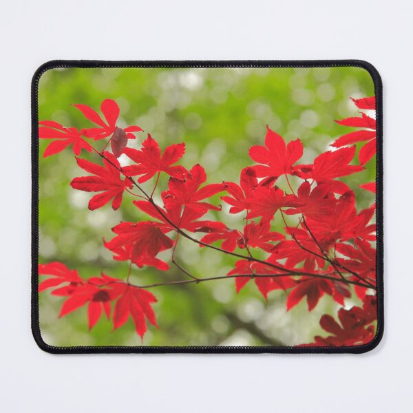 Item preview, Acer leaves designed and sold by Gaspar Avila.