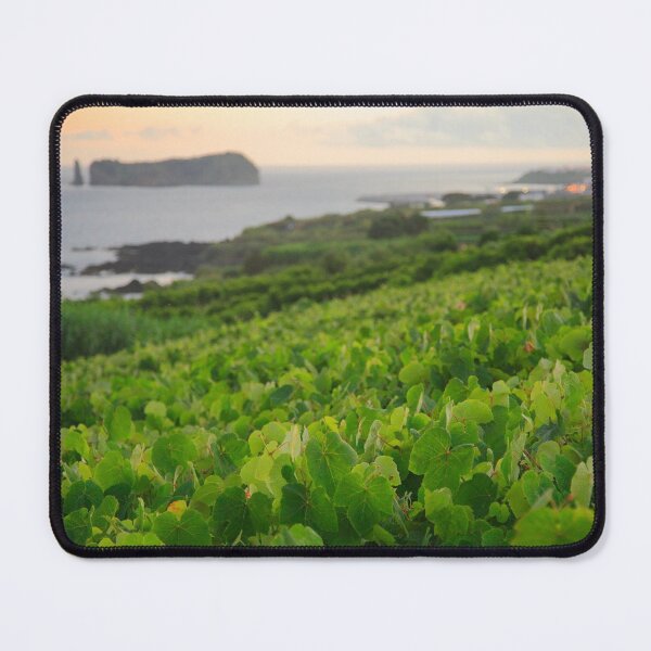 Item preview, Grapevines and islet designed and sold by Gaspar Avila.