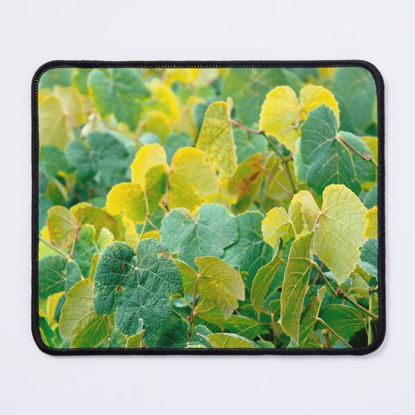 Item preview, Grapevines designed and sold by Gaspar Avila.