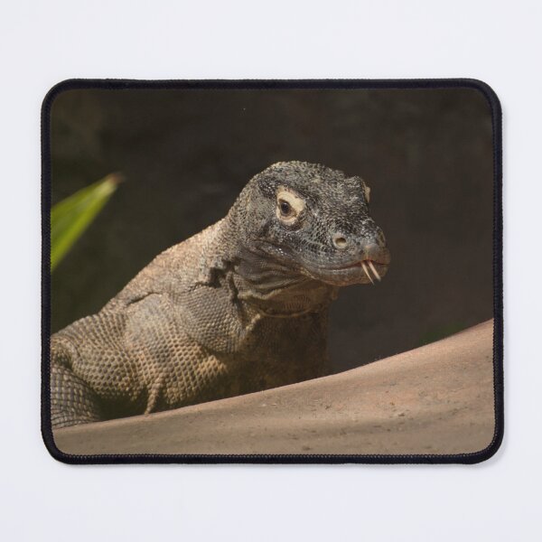 Item preview, Dragon - Komodo monitor designed and sold by Zina Stromberg.