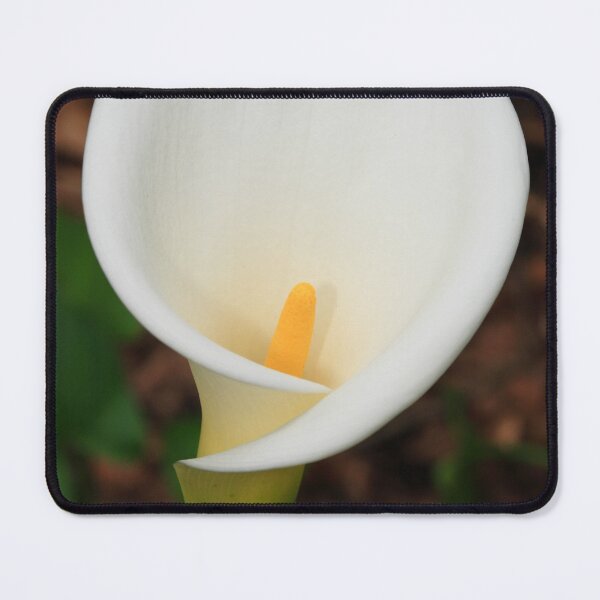 Item preview, Calla lily designed and sold by Gaspar Avila.
