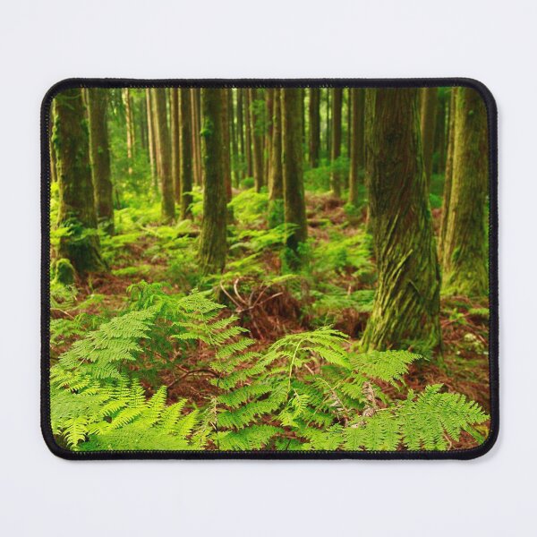 Item preview, Ferns in the forest designed and sold by Gaspar Avila.