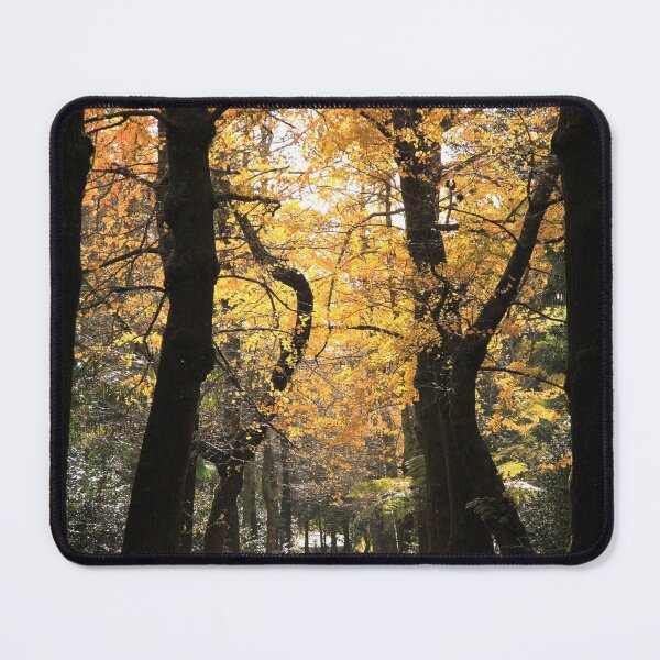 Item preview, Ginkgo biloba trees designed and sold by Gaspar Avila.