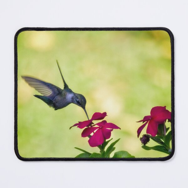 Item preview, Ruby-Throated Hummingbird With Vinca designed and sold by Thymely.
