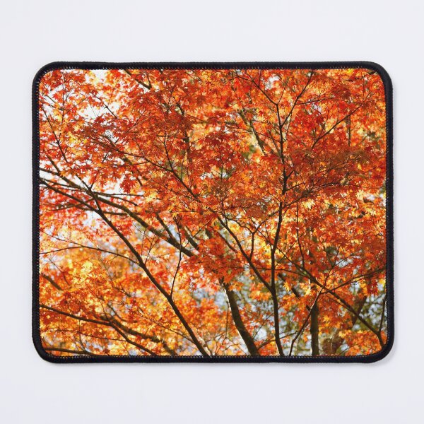 Item preview, Maple tree foliage designed and sold by Gaspar Avila.