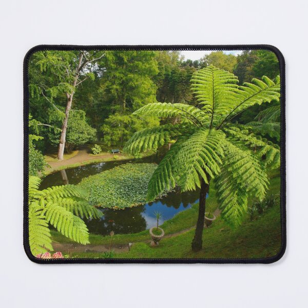 Item preview, Tree ferns designed and sold by Gaspar Avila.