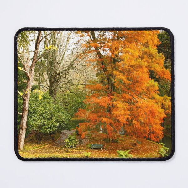 Item preview, Willow in Autumn colors designed and sold by Gaspar Avila.