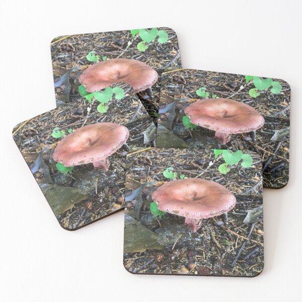 Item preview, Russula Paludosa designed and sold by South Bay Storyteller .