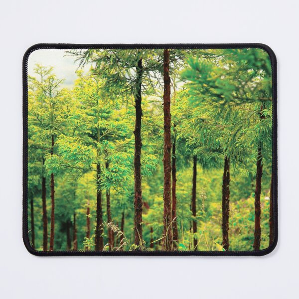 Item preview, Japanese Cedar woods designed and sold by Gaspar Avila.