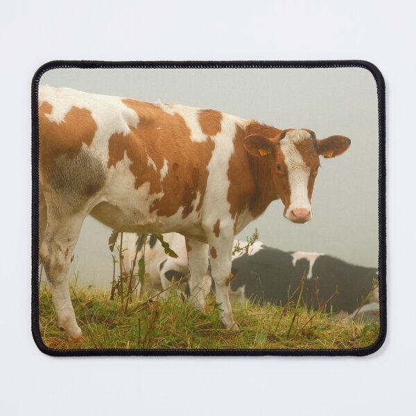 Item preview, Calves designed and sold by Gaspar Avila.