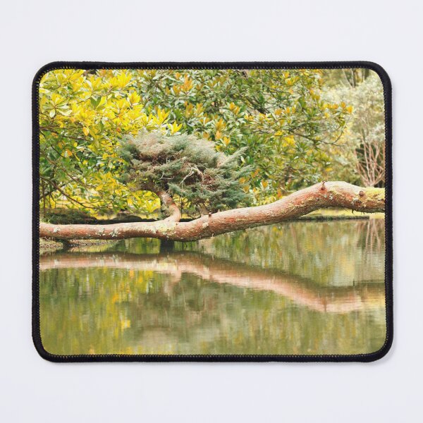 Item preview, Reflections on the pond designed and sold by Gaspar Avila.