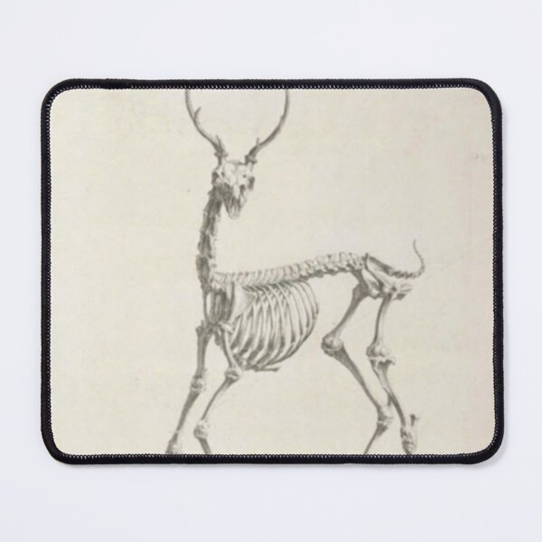 Item preview, Deer Skeleton designed and sold by BlueSpecsStudio.