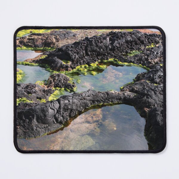 Item preview, Tidal pool designed and sold by Gaspar Avila.