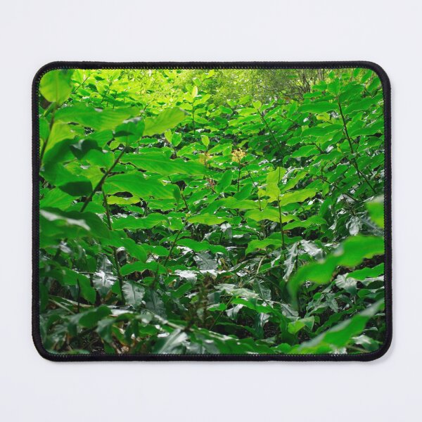 Item preview, Green foliage designed and sold by Gaspar Avila.