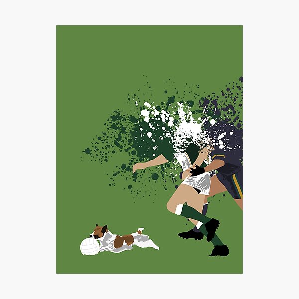 That time the dog ran out on the pitch during the International Rules match Photographic Print