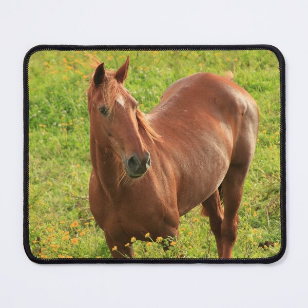 Item preview, Horse in a field with flowers designed and sold by Gaspar Avila.