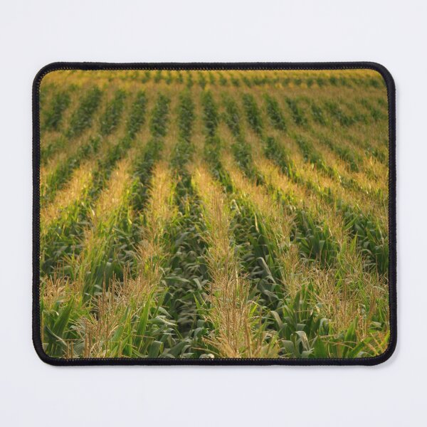 Item preview, Corn field designed and sold by Gaspar Avila.